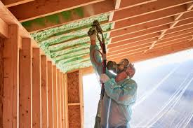 Best Insulation for New Construction  in Little Chute, WI